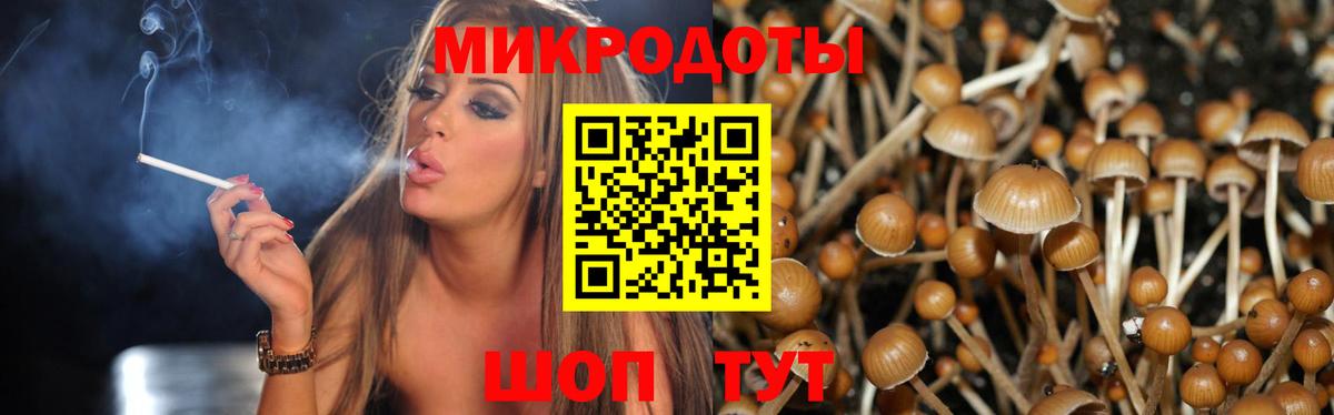 Михайловск  Псилоцибиновые грибы MAGIC MUSHROOMS  цена наркотик  Вход с VPN 